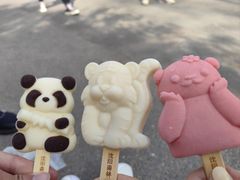 -沈阳森林动物园