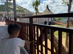 -西霞口神雕山野生动物世界