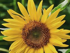 -长春公园(普阳街道)