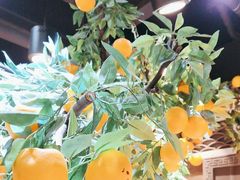 -杨氏橘红(前门大街店)