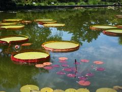 -国家植物园南园