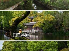 -月湖公园