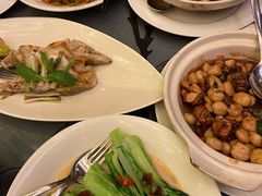 -汕头龙光喜来登酒店-采悦轩中餐厅