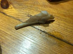 -大宝全猪馆(南京路店)