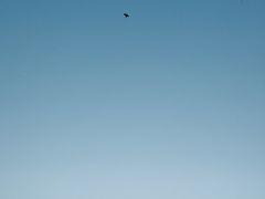 -天津东丽湖风景区