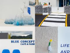 -Blue Concept Cafe&Farm·關於藍