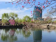 -无锡蠡湖国家湿地公园-蠡园