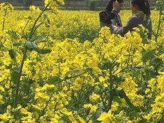 -银兴国际影城(永旺梦乐城吴中店)