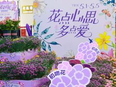 -友谊阳光城