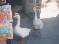 -中国翰园碑林