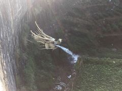 -磐安舞龙峡景区