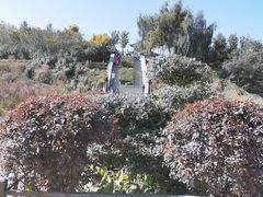 -哈尔滨北方森林动物园