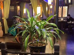 -绿茶餐厅(哈尔滨凯德店)