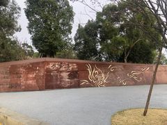 -飞凤山奥体公园