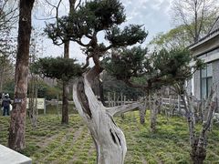 -郑州植物园
