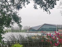 -上海长兴岛郊野公园