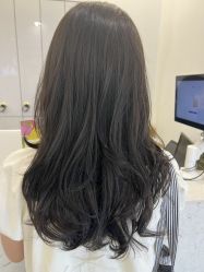 -YESIDO椰岛造型