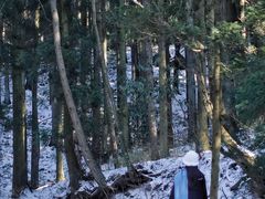 -庐山风景名胜区