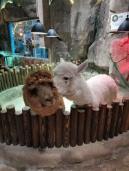 -宝燕乐园(闵行旗舰店)