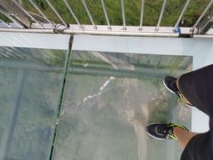 -梦幻奥陶纪景区