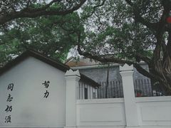 -长洲岛