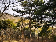 -北京西山国家森林公园