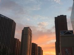 -朗悦公园茂