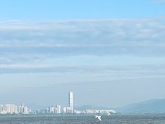 -深圳湾公园(南山区)