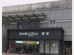 -雪莲品牌工厂店