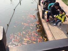 -无锡动物园·太湖欢乐园