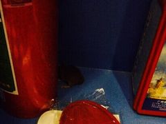 有老鼠！而且應該很常見！-广州迷途主题旅馆(海珠广场店)