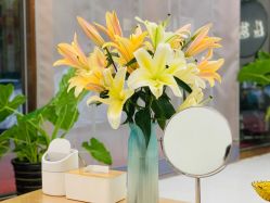 -慈蕊美容养生·专业经络调理