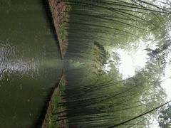android_upload_pic-同里国家湿地公园