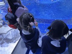 -木渎小星星幼儿园