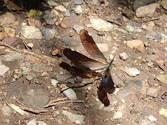 -野三坡清泉山风景区