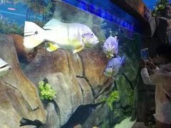 -临沂极地海洋王国