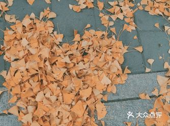 交通：地铁④号线直达，在北宫门地铁站D口出