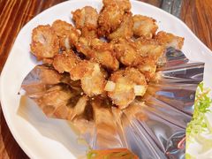 陈皮骨-丰收碗·陈皮果木烧鹅·23年老字号