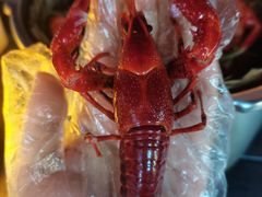 -蚝翅·海鲜粥·烧烤·宁夏滩羊季(玉米楼店)