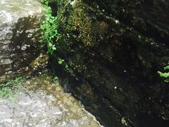 -袁家豆腐