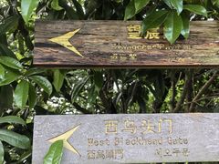 -杭州半山国家森林公园