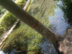 -水磨沟公园