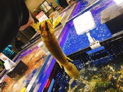 -盒马鲜生(昆城店)
