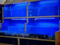 -威海渔村(静安旗舰店)