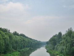 -东郊湿地公园