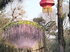 -红螺寺