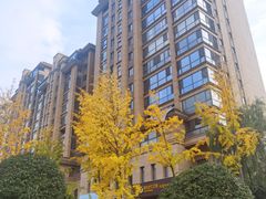 -唐城墙遗址公园