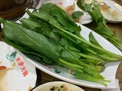 菠菜-木萨火锅店(开鲁路店)