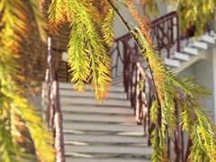 -广州市干部健康管理中心