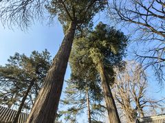 -潭柘寺景区